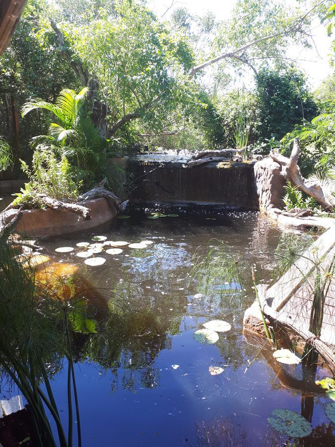Chinderera Eco Lodge Manguzi Εξωτερικό φωτογραφία